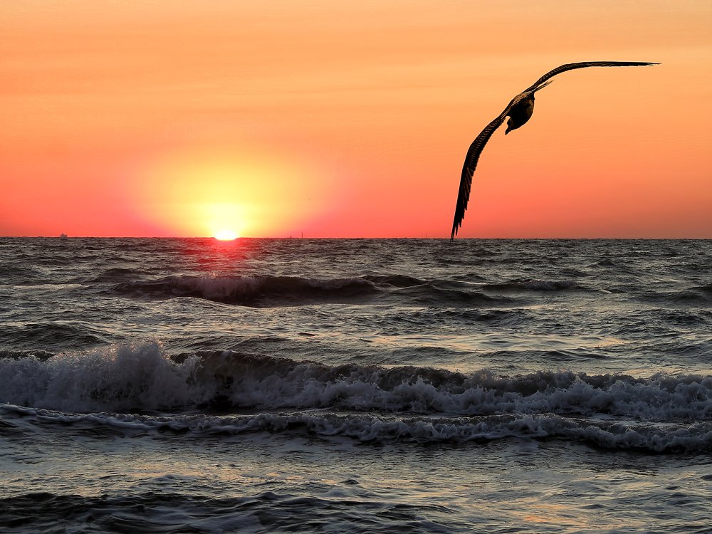 Photograph by Роман Савоцкий