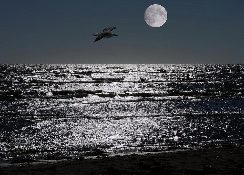 Фотография автора Роман Савоцкий