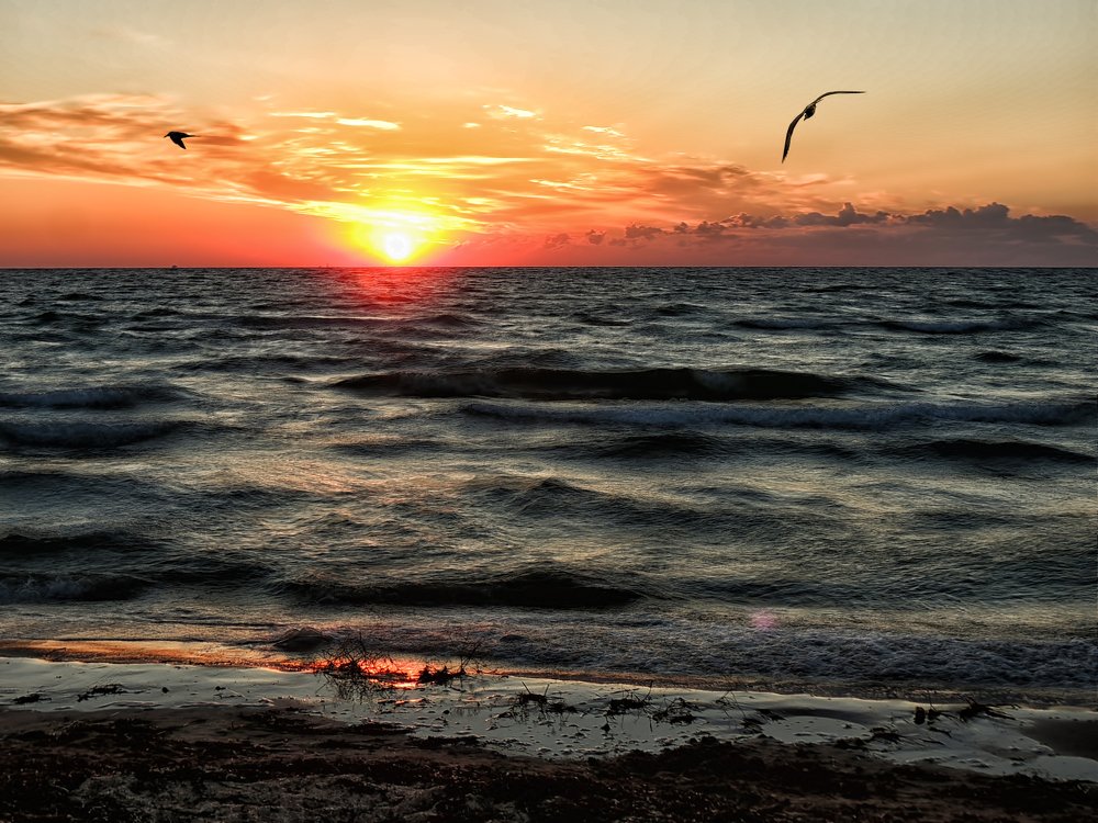 Фотография автора Роман Савоцкий