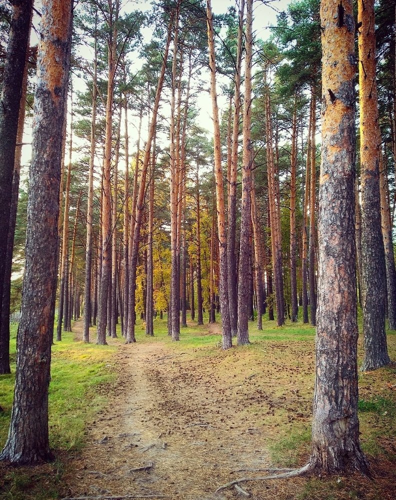 Photograph by Герман Штерн