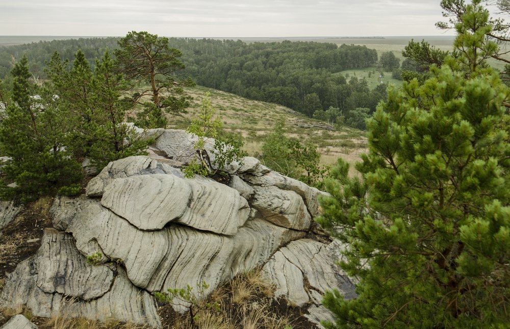 Дождливое лето