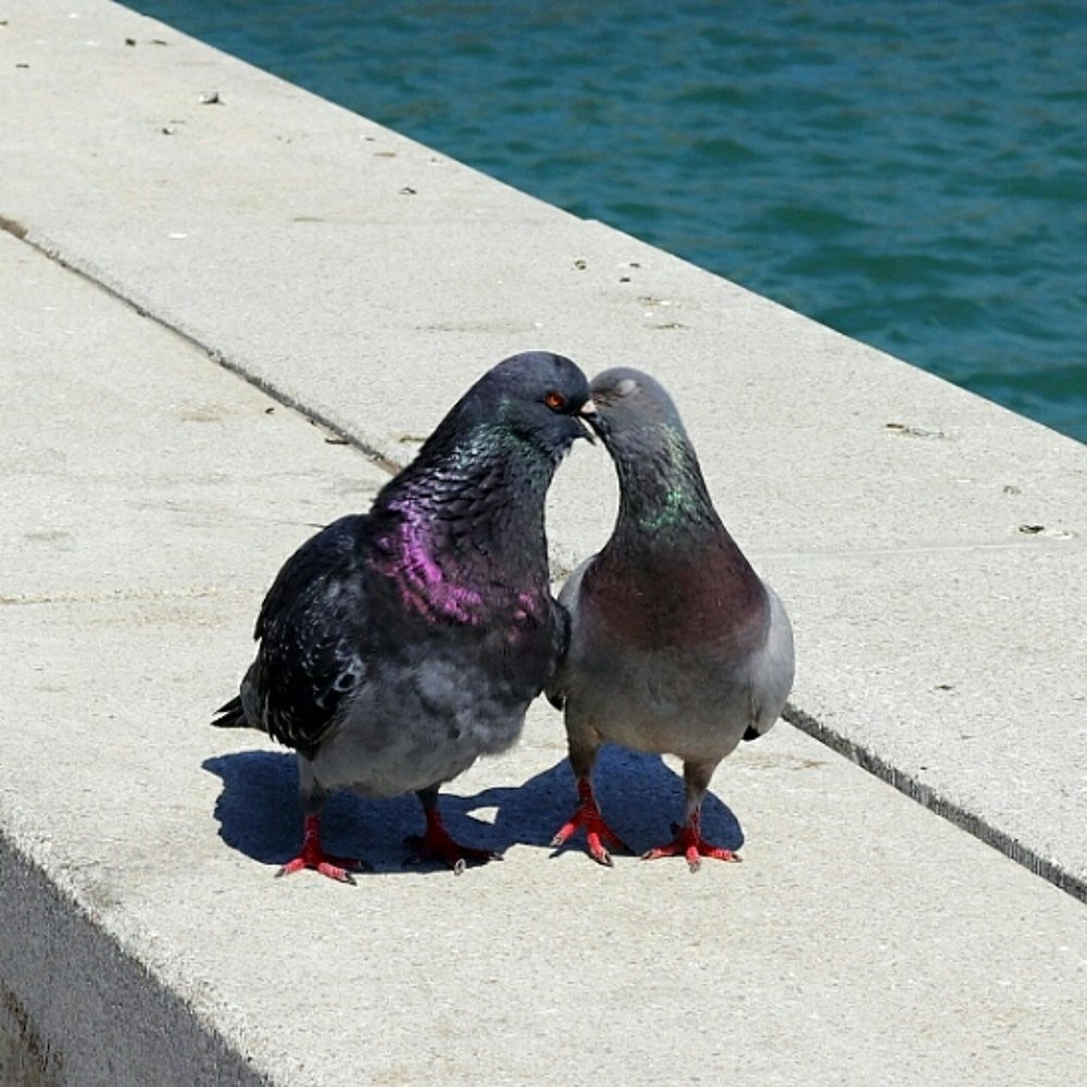 Photograph by Олег Башкуров