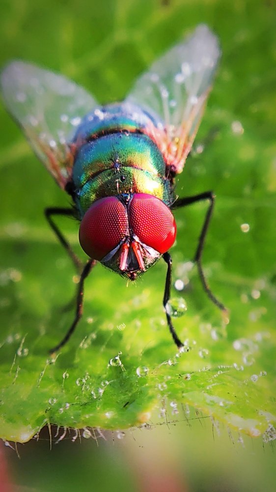 Photograph by Raj Purkait