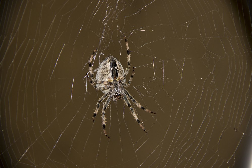 Photograph by Елена Демочкина