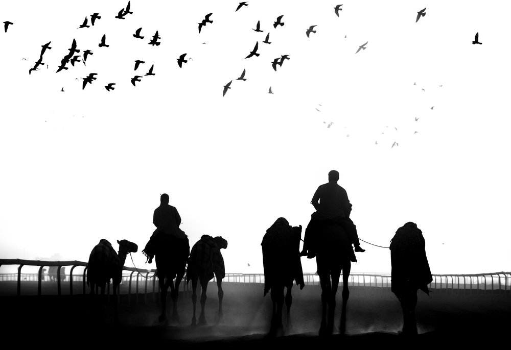 Photograph by Abhilash Thamattoor