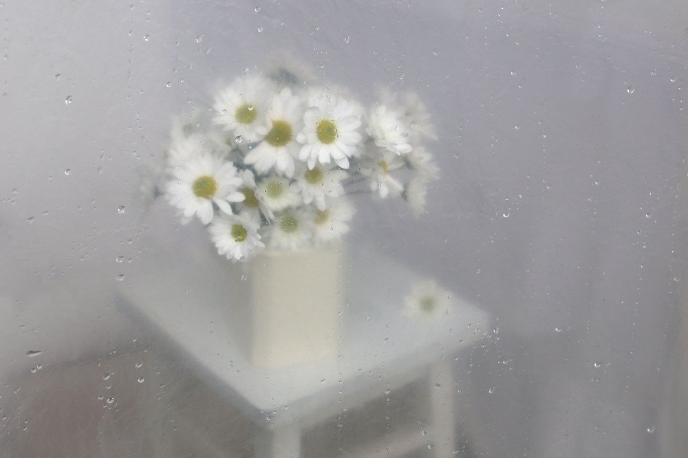 Photograph by Ирина Гайворонская