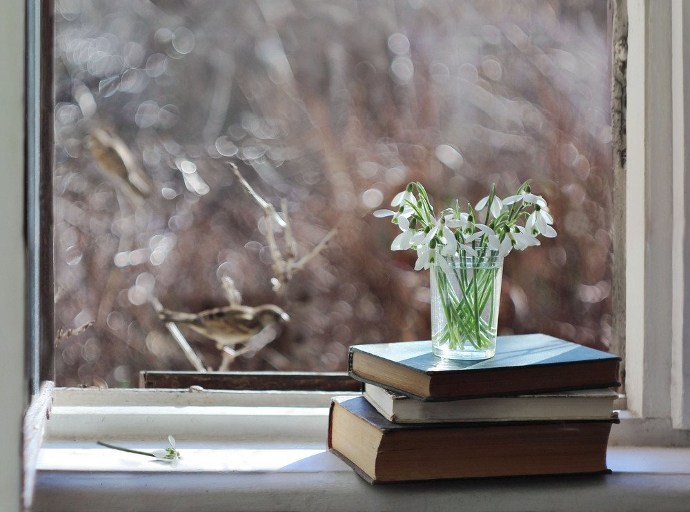 Photograph by Ирина Гайворонская