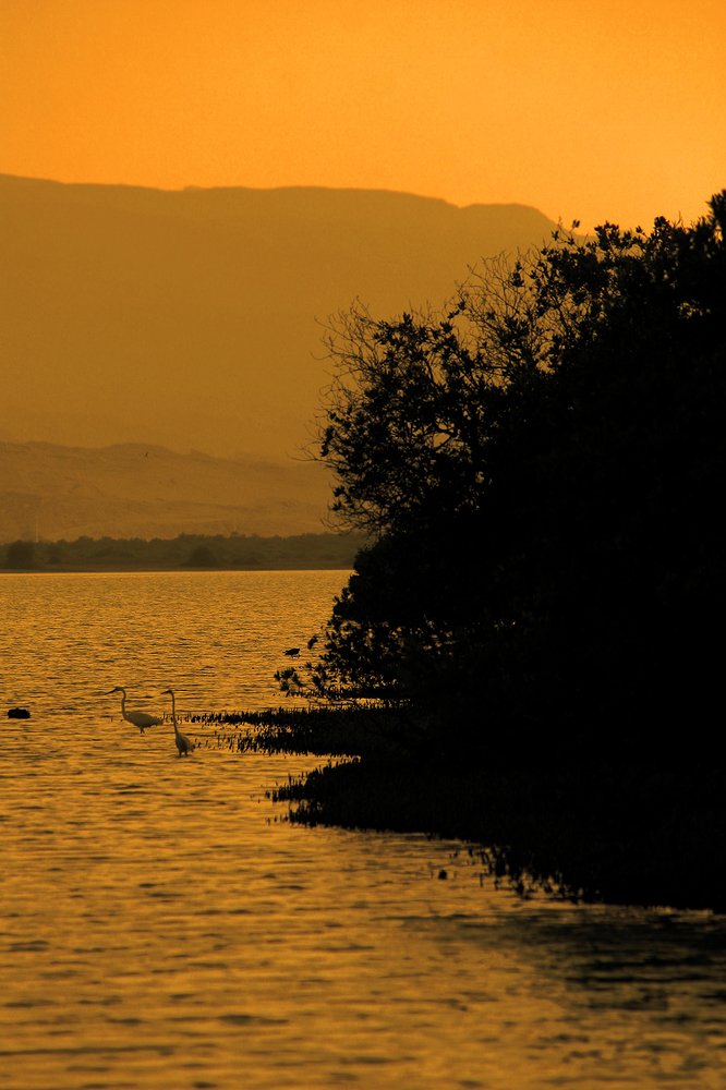 Photograph by Siamak Sabet