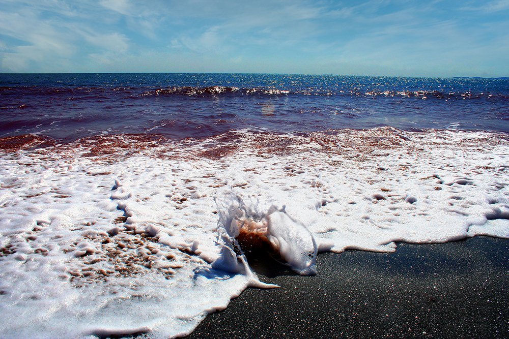 Photograph by Siamak Sabet