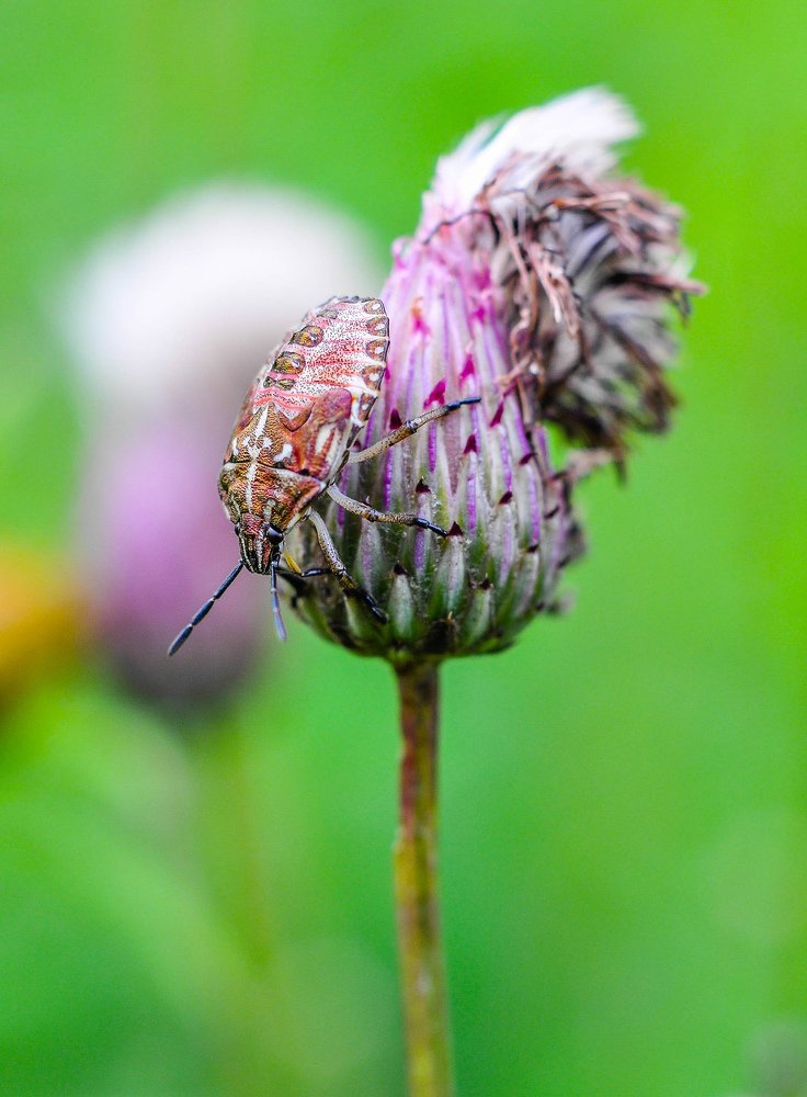 Photograph by Олеся zme