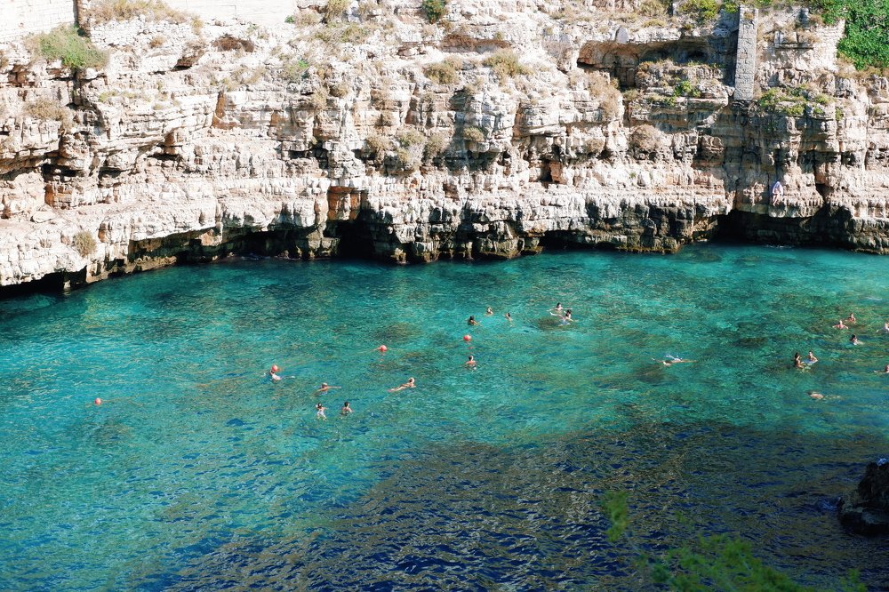 Фотография автора Zuzi Janek