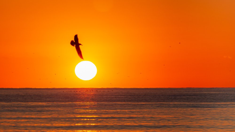 Photograph by Simona Grigorescu