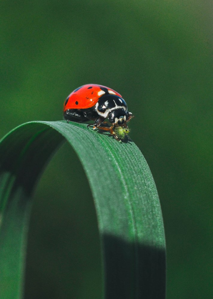 Photograph by Олеся zme