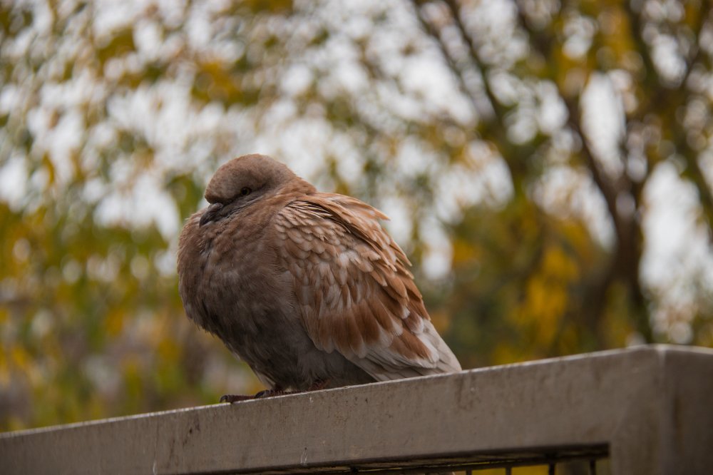 Photograph by Марина Кирпичникова