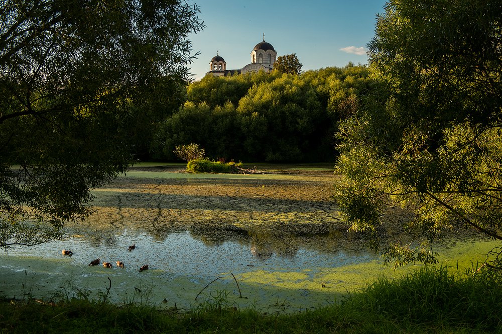 Photograph by Владимир Супонев
