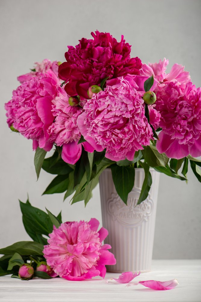 Photograph by Марина Богатырева