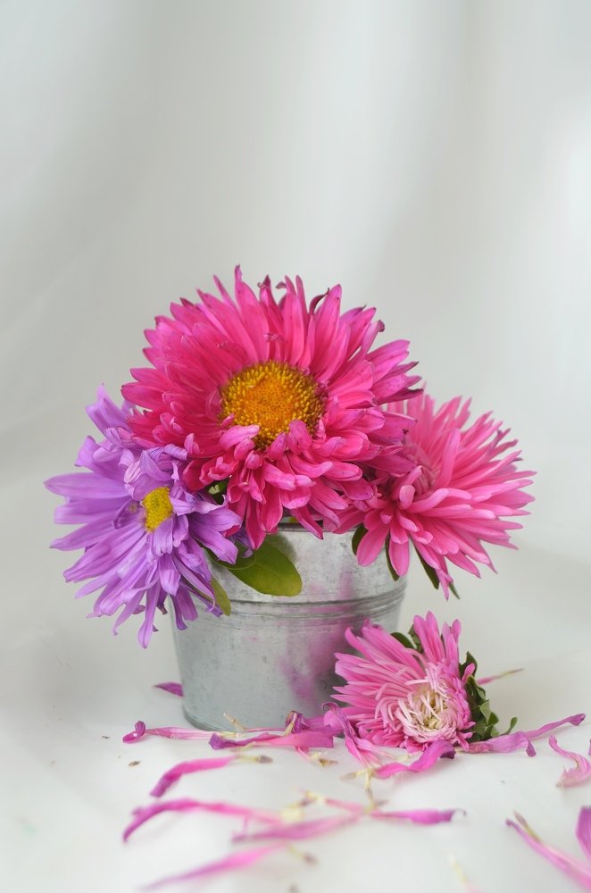 Фотография автора Евгения Илина