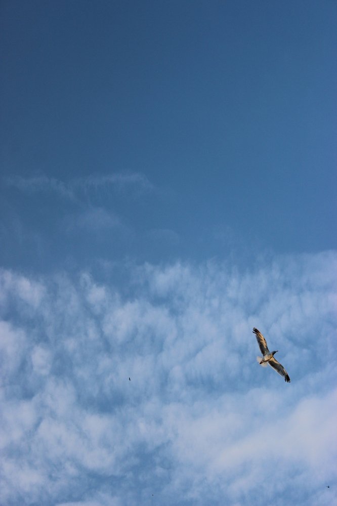 Photograph by Anastasia Kodatenko