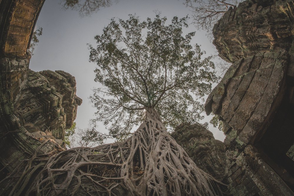 Photograph by Dzianis Mizhui