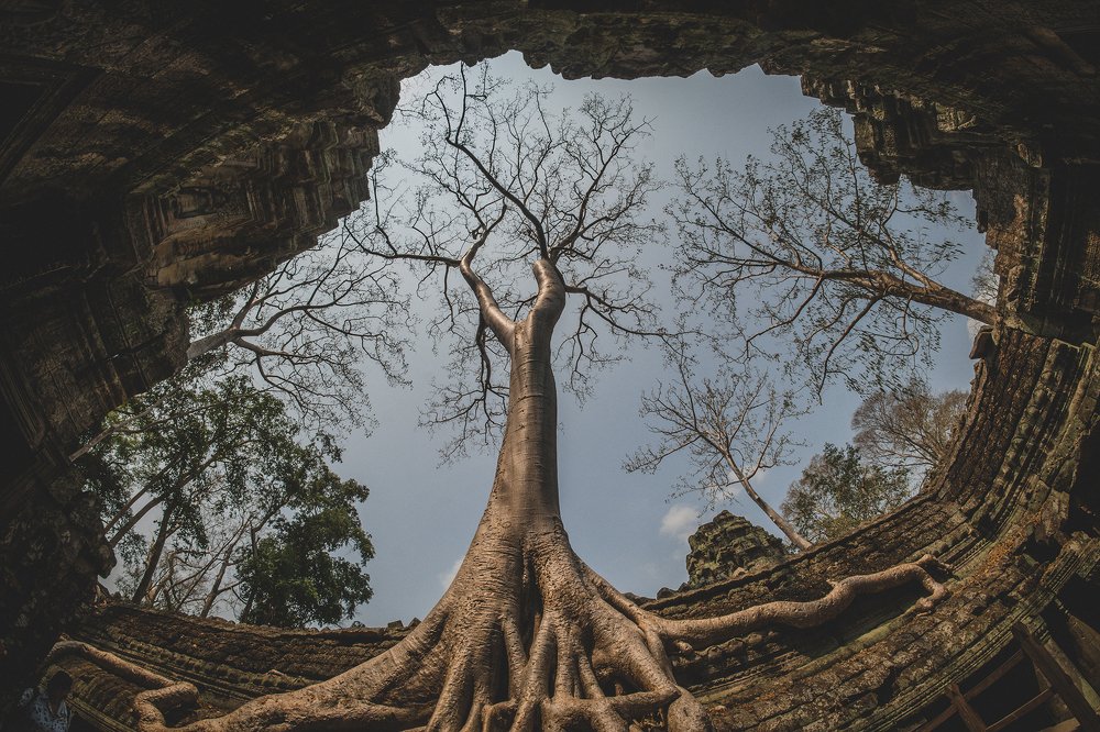 Photograph by Dzianis Mizhui