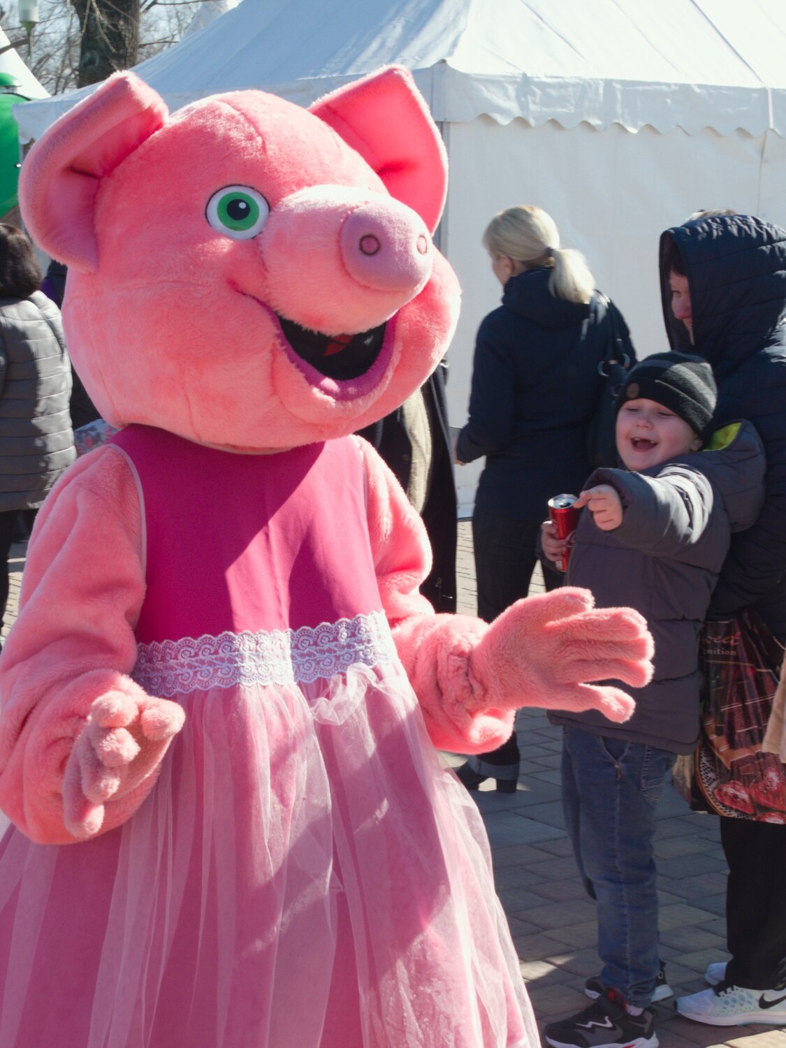 Photo #4954657
