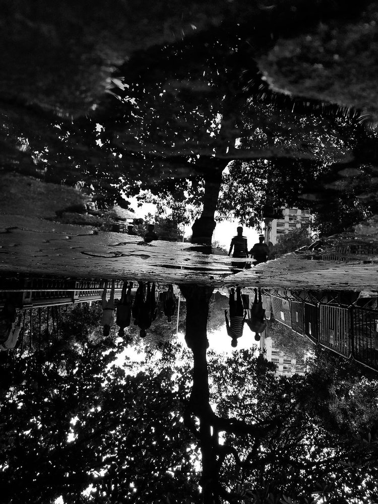 Monsoon reflection tales