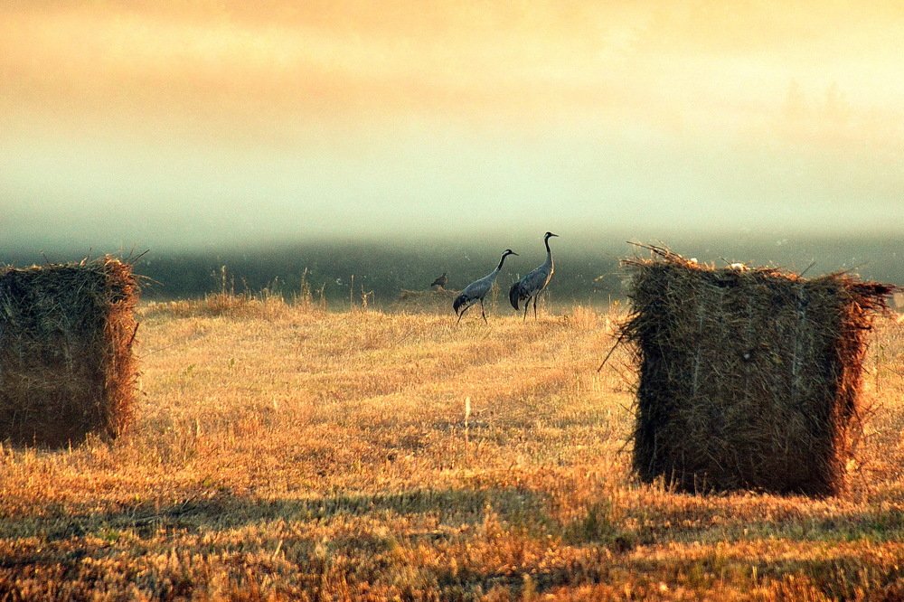 Photograph by Дмитрий Волков