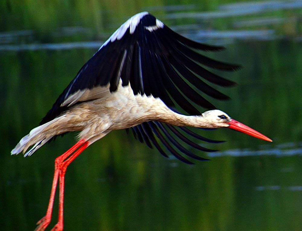 Photograph by Дмитрий Волков