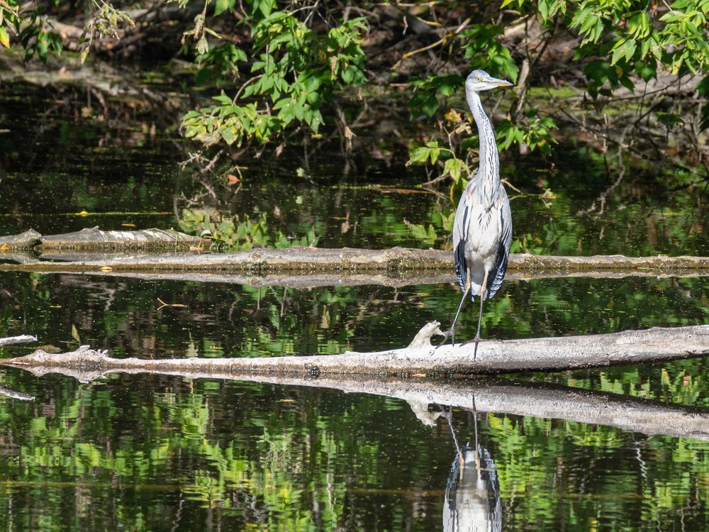 Photograph by Дмитрий Крючков