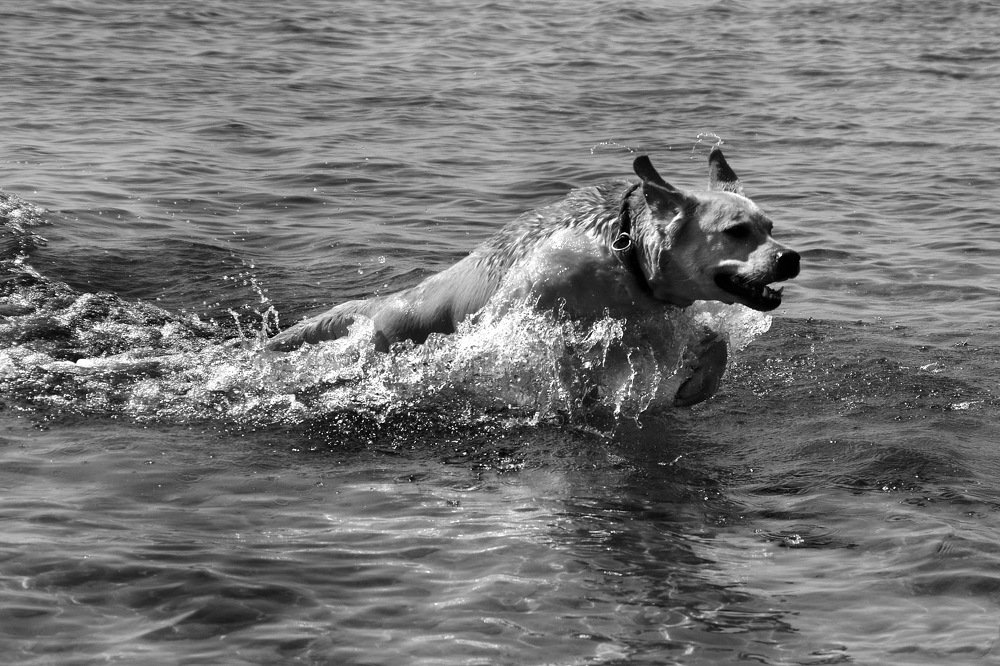 Photograph by Дмитрий Волков