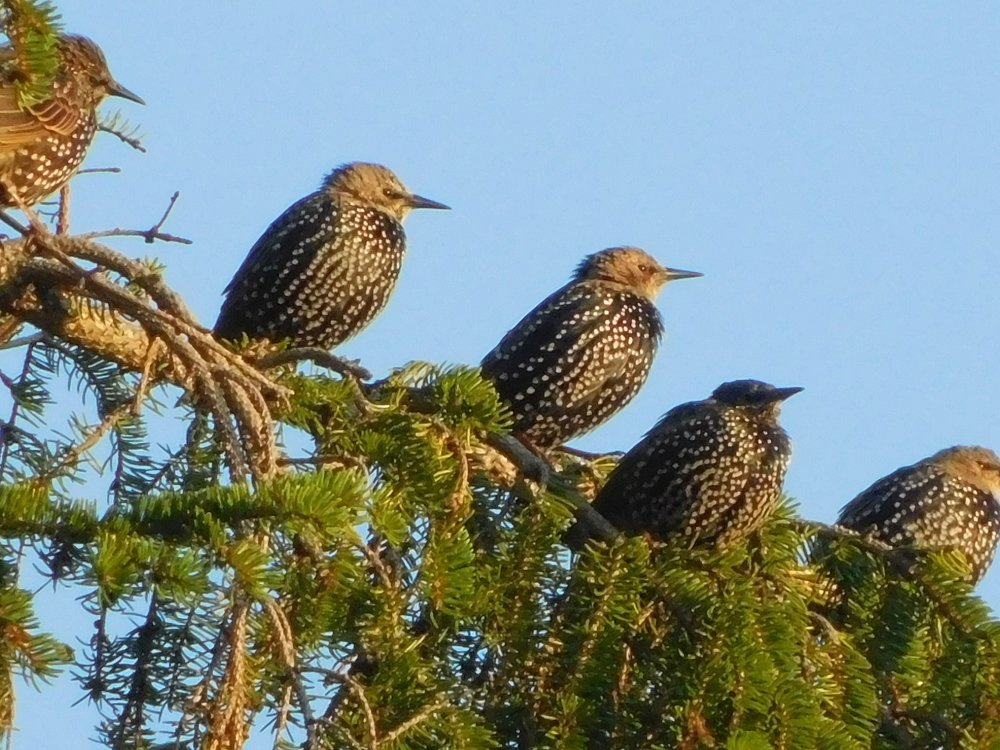 Photograph by Елена Грошева