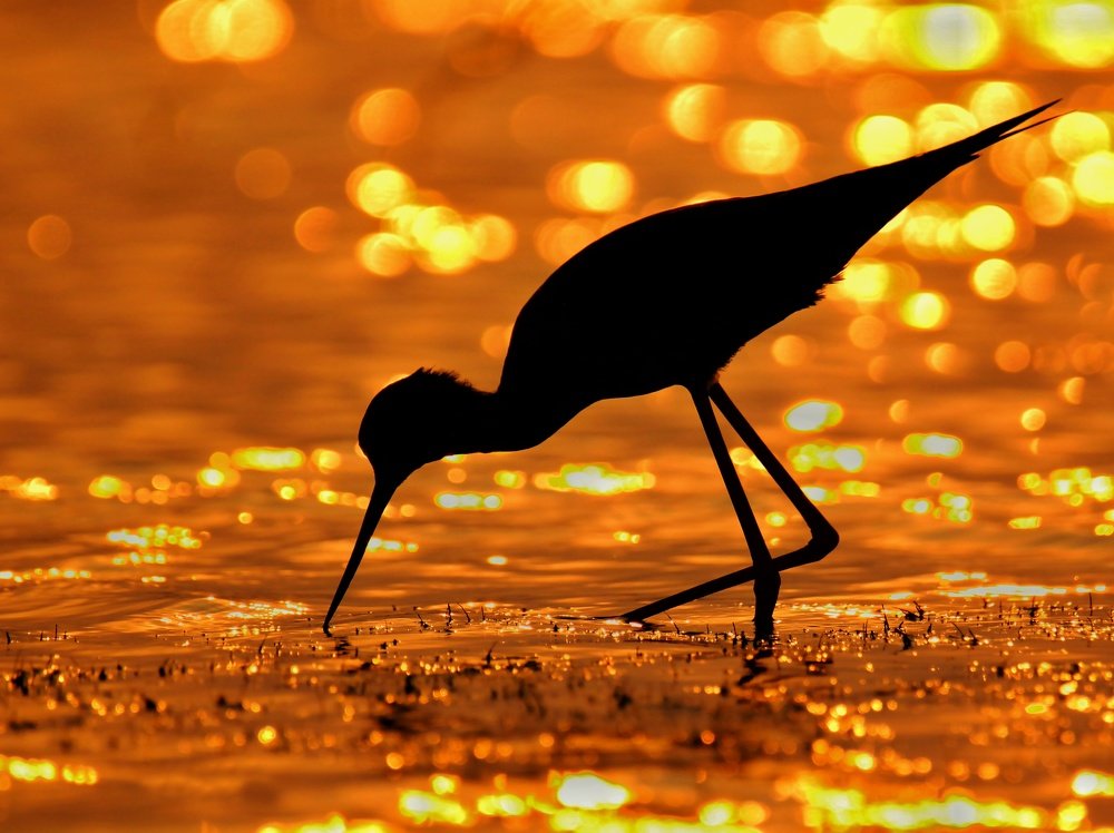 Photograph by Akash Bhattacharyya