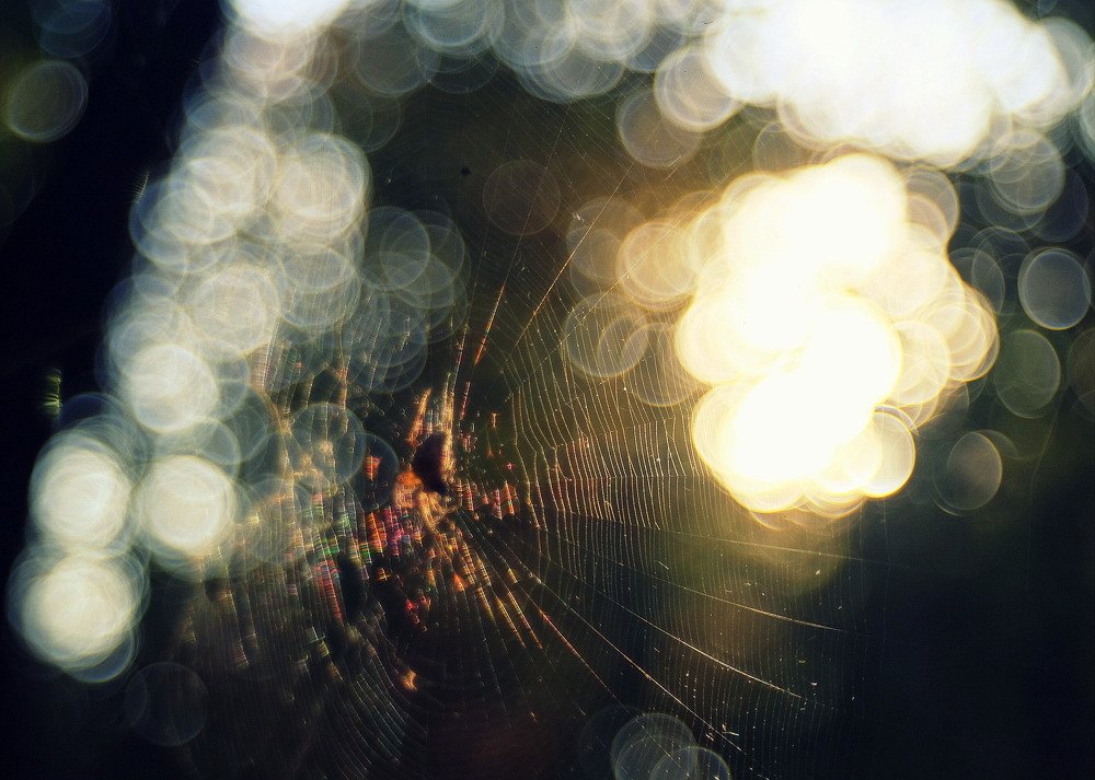 Фотография автора Светлана Груньковская