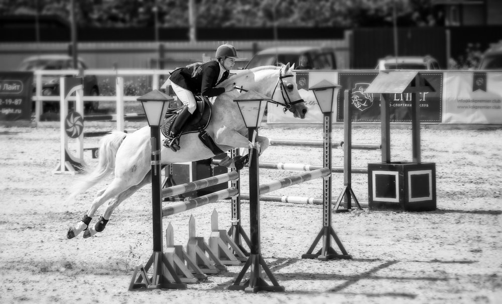 show jumping