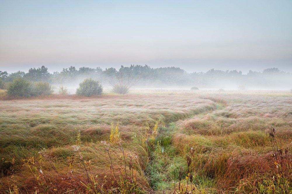 Беззвучно стелется мгла.