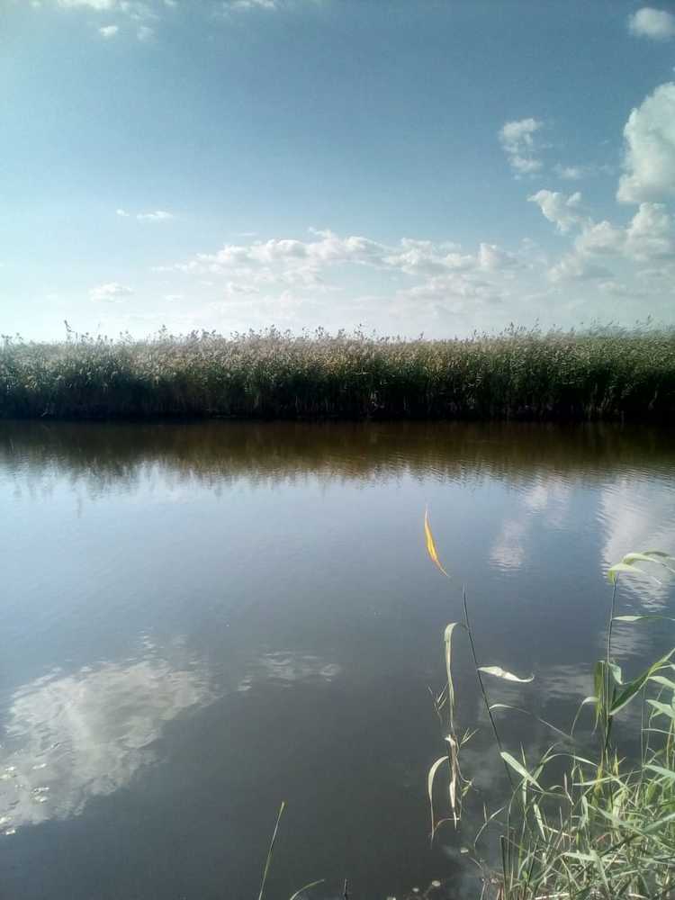 Photograph by Камила Борисоглебская