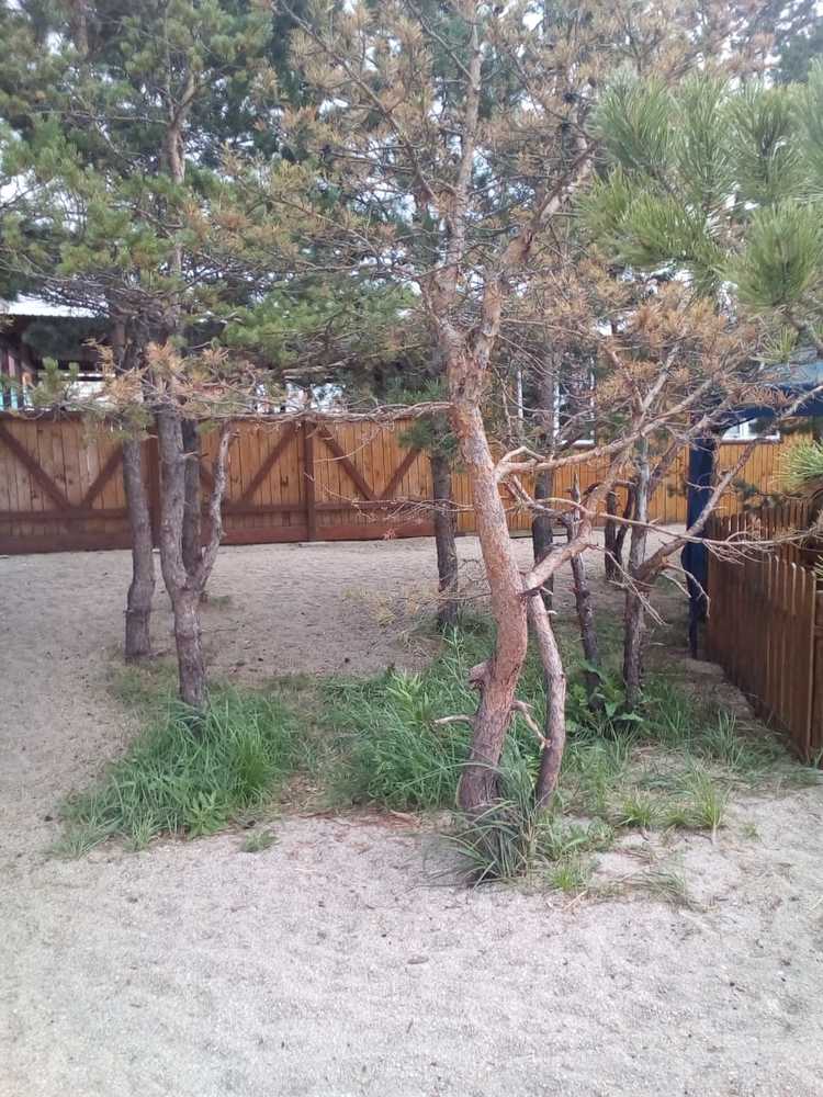 Photograph by Камила Борисоглебская