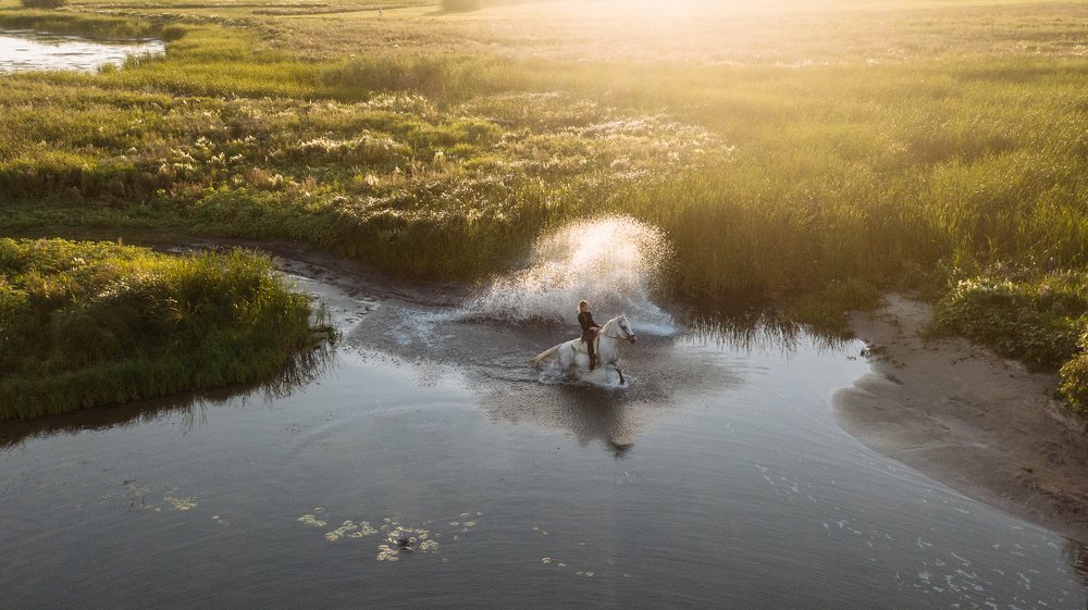 Photograph by Полина Никитина