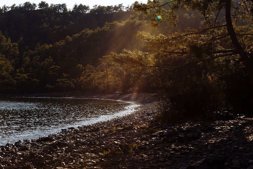 Photograph by Полина Никитина