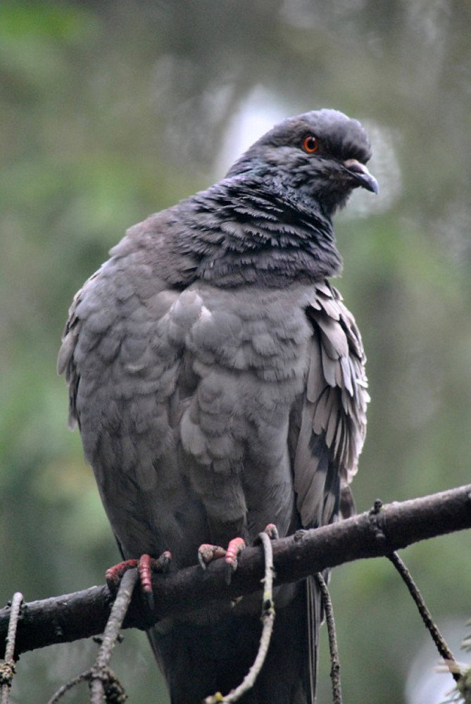 Photograph by Маргарита Матвеенкова