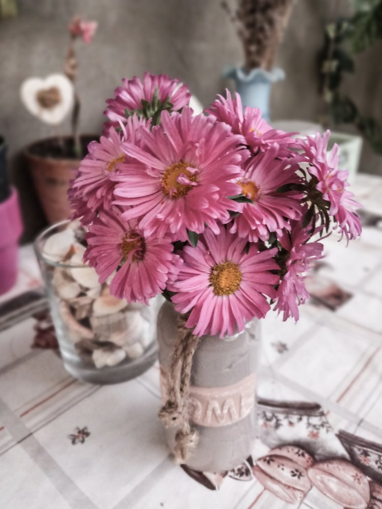 Photograph by Szilveszter Zoltan