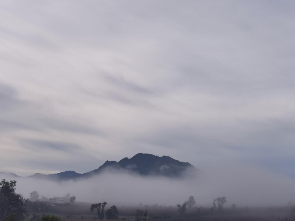Photo #4955141