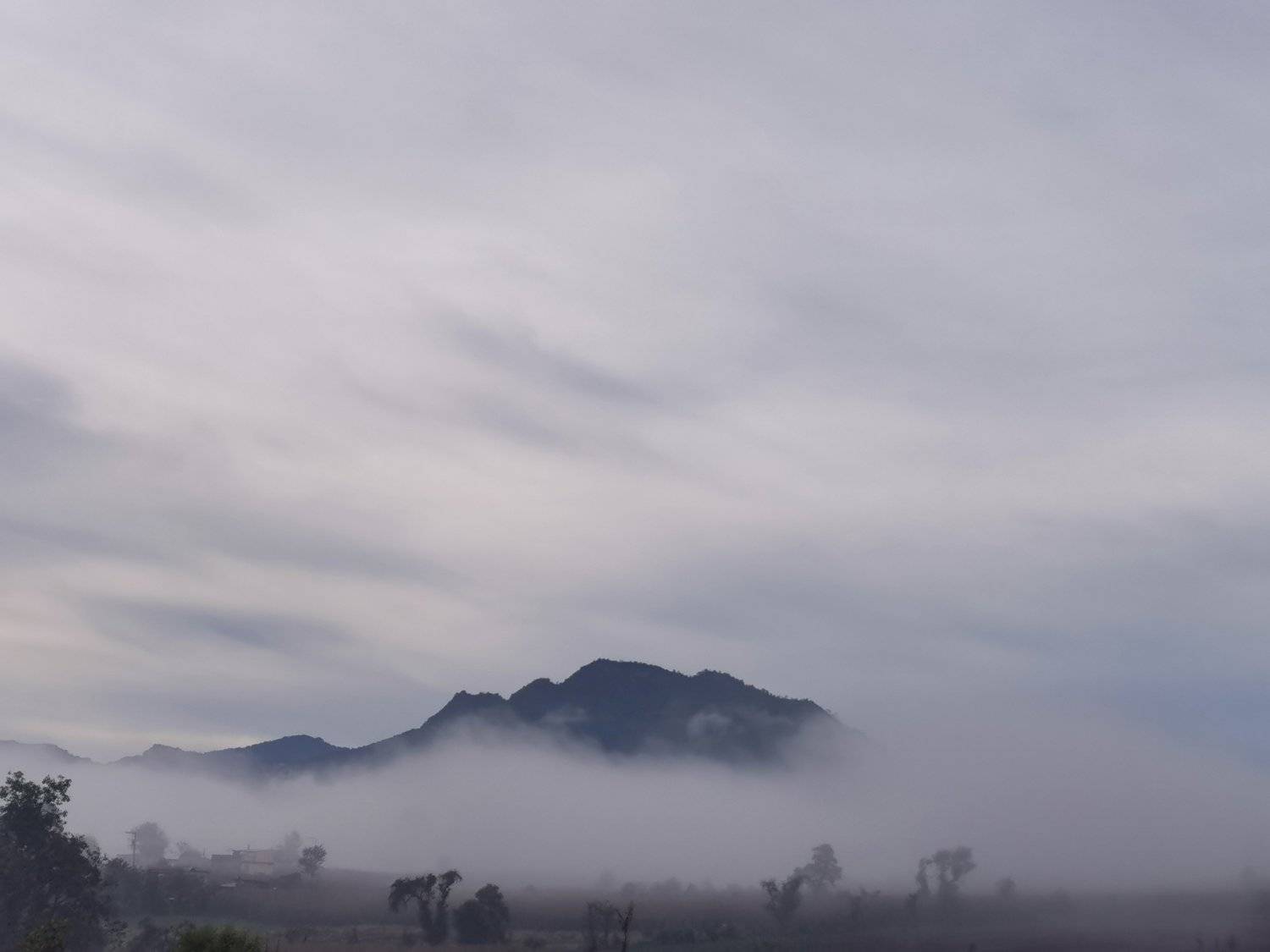 Photo #4955141