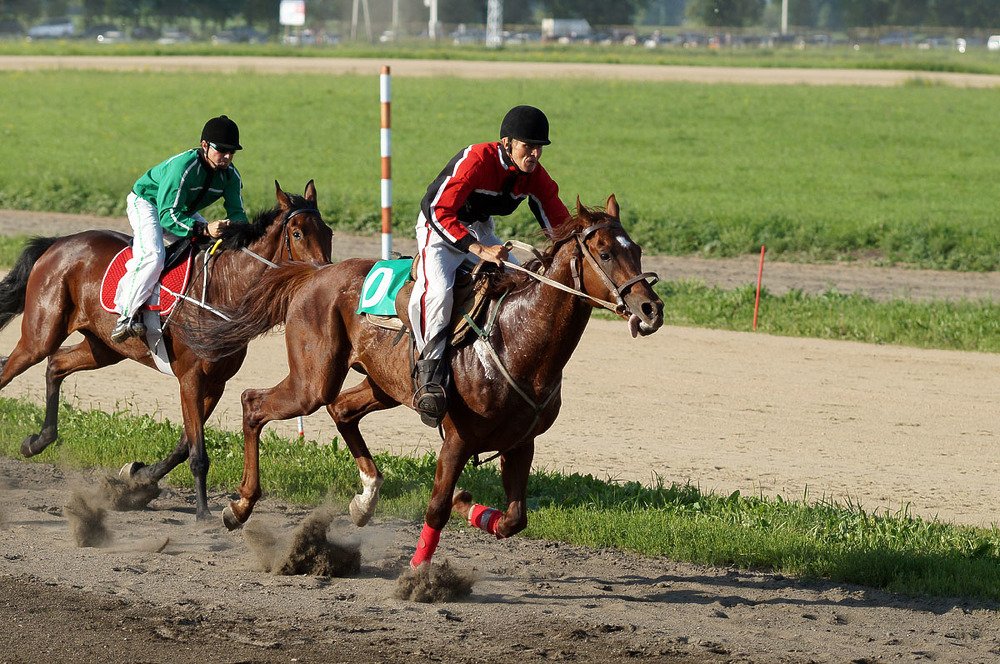 Photograph by Евгений Аккуратов