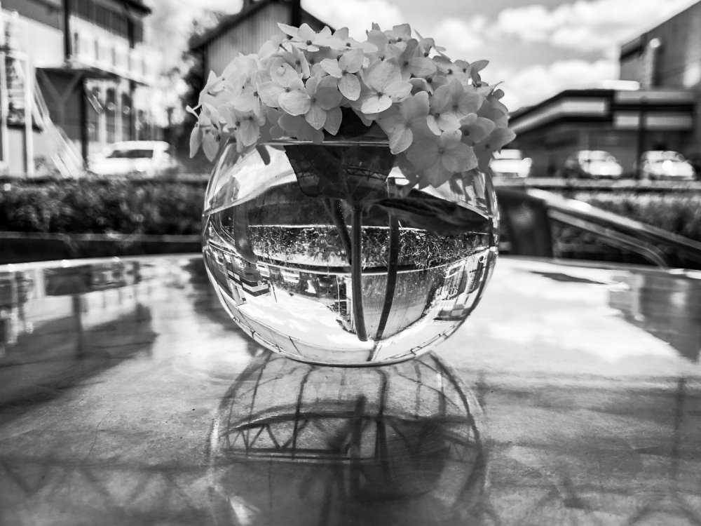 Photograph by Александр Пиленгас