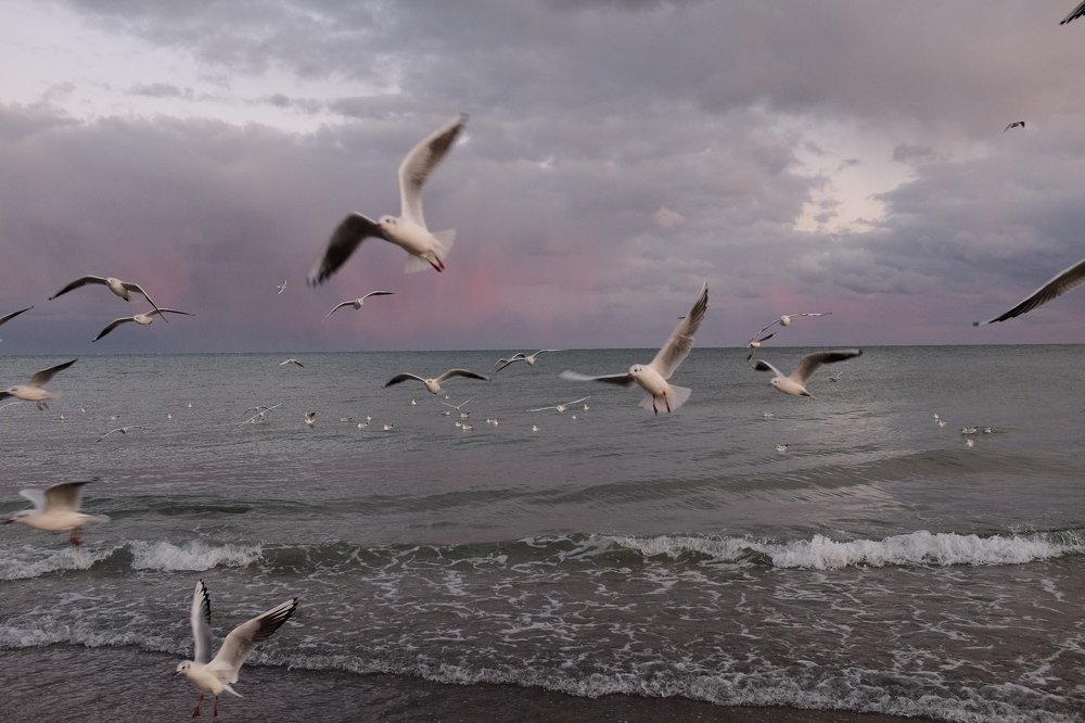 Photograph by Игорь Юркивский