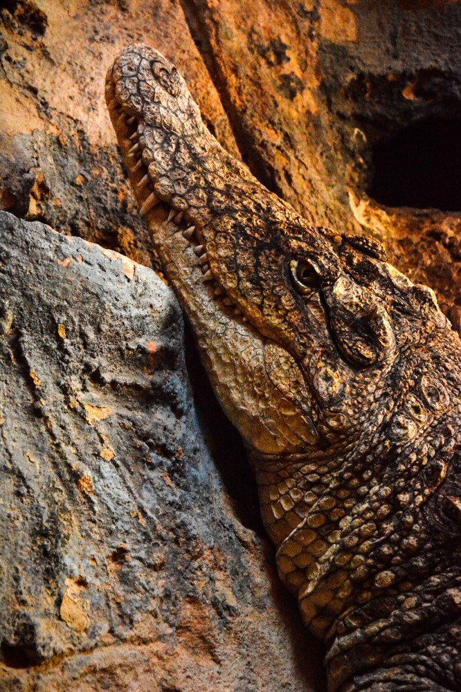 Photograph by moustafa t.abd-allah