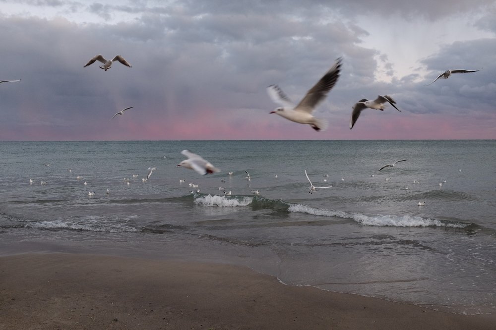 Photograph by Игорь Юркивский