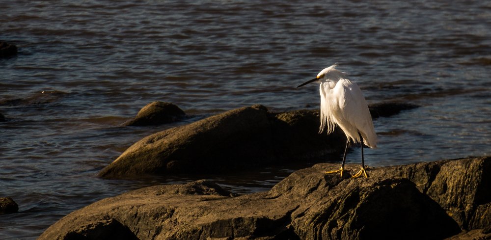Photograph by Jorge Bagnuoli