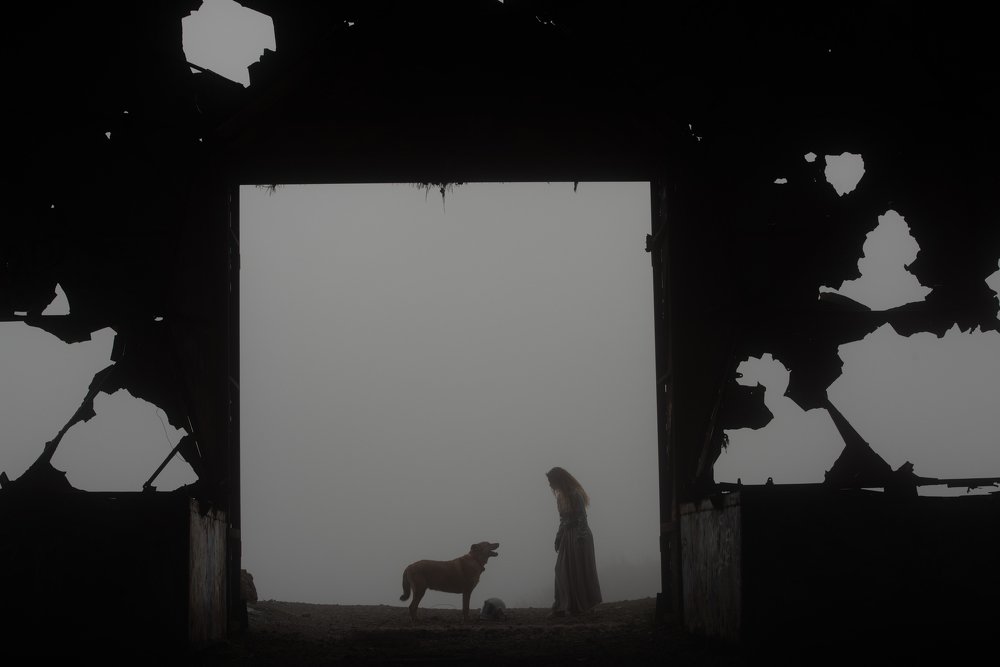 Photograph by Иван Дякин